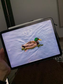 Close-up of a digital tablet with a mallard duck image on the lock screen held indoors.