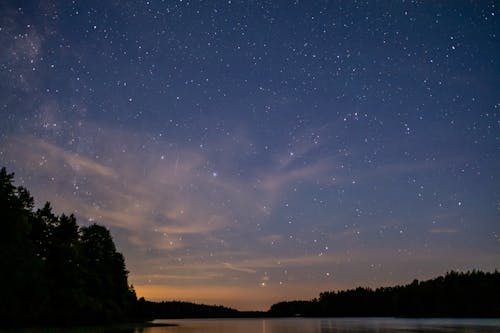 Foto d'estoc gratuïta de alba, arbres, astronomia