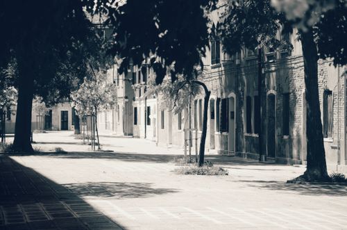 Free Grayscale photo of a quiet street lined with classic brick buildings and trees in soft sunlight. Stock Photo