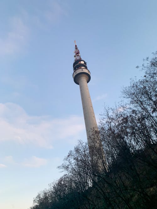 Imagine de stoc gratuită din arbori, arhitectură, atracție turistică