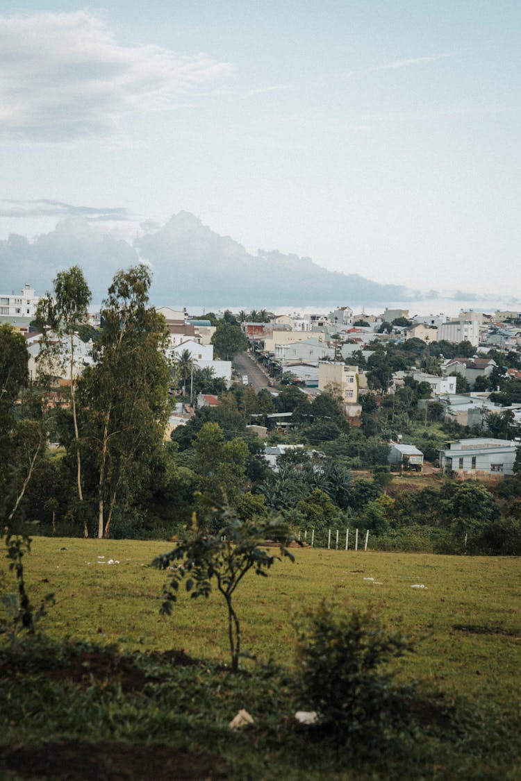 View Of A Townscape From A Park 