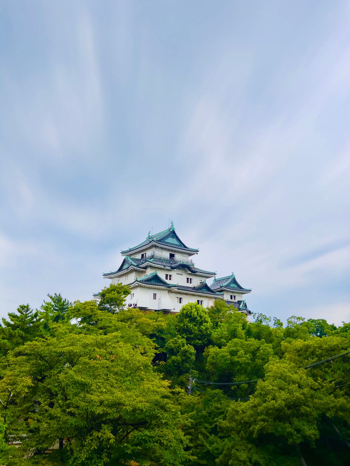 Wakayama Castle white keep rising above lush green forest — the historic castle at the heart of Wakayama City