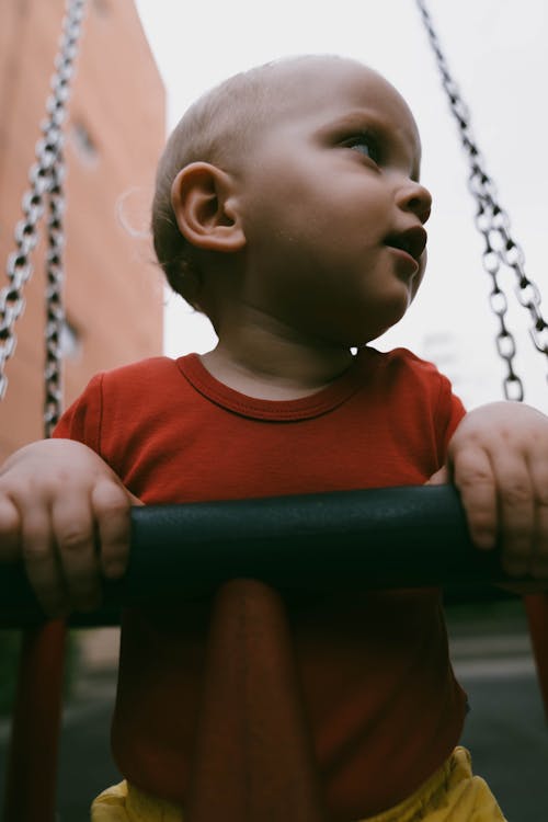 Portrait of Little Boy in a Swing 