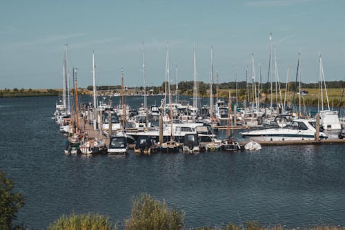 Yachts in a Harbour 