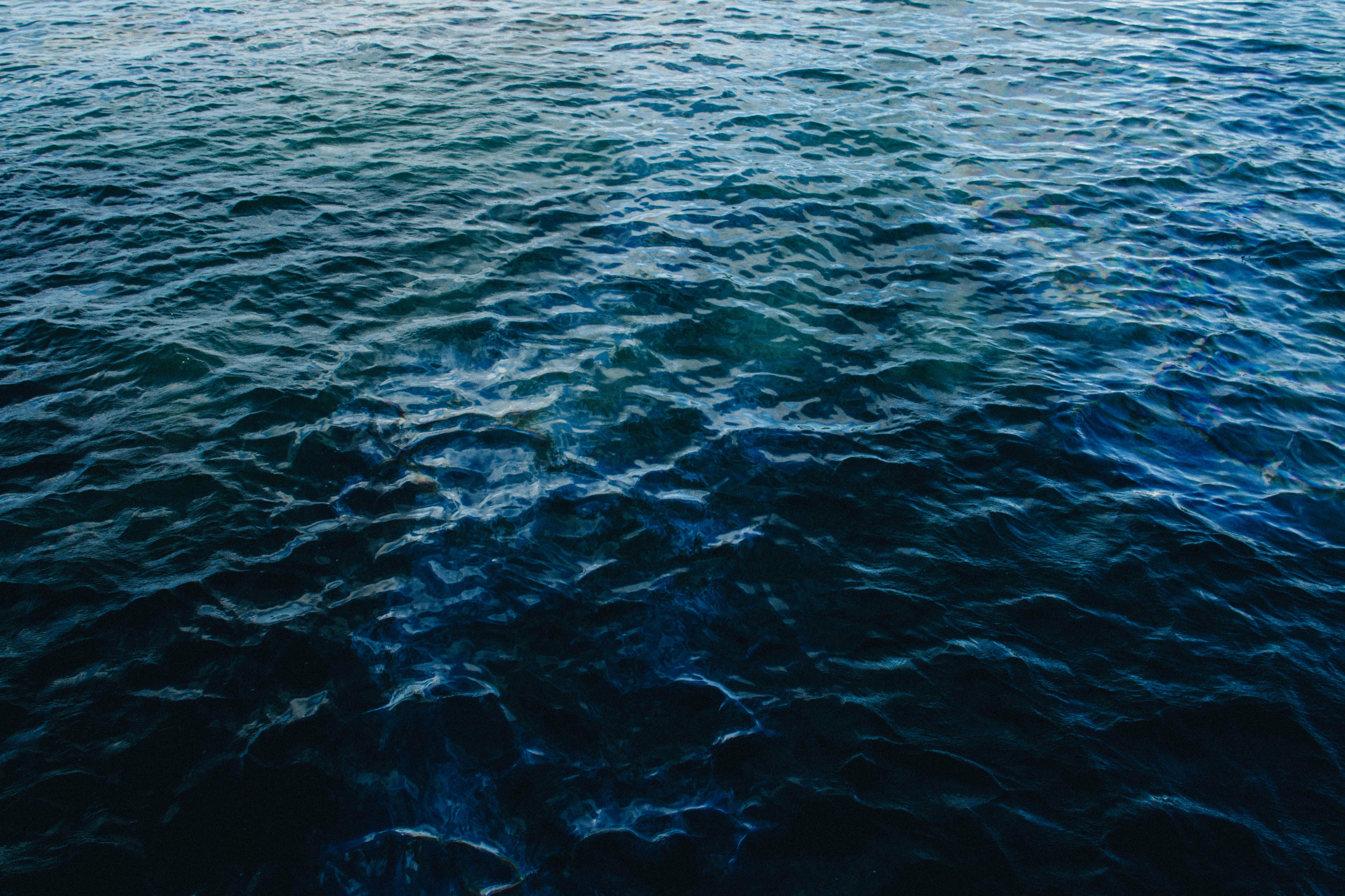 Free stock photo of ocean, water