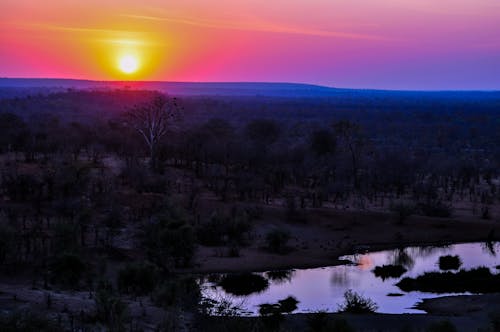 Kostenloses Stock Foto zu afrikanisch, naturliebhaber, schönheit der natur