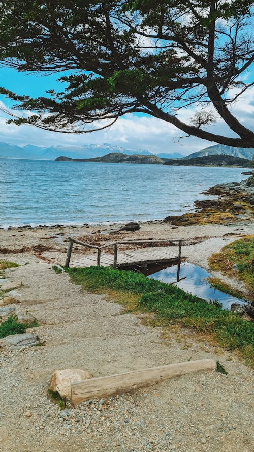 Sea and Beach Landscape