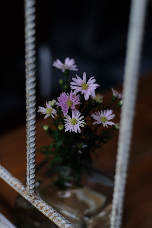 Daisies in a Vase