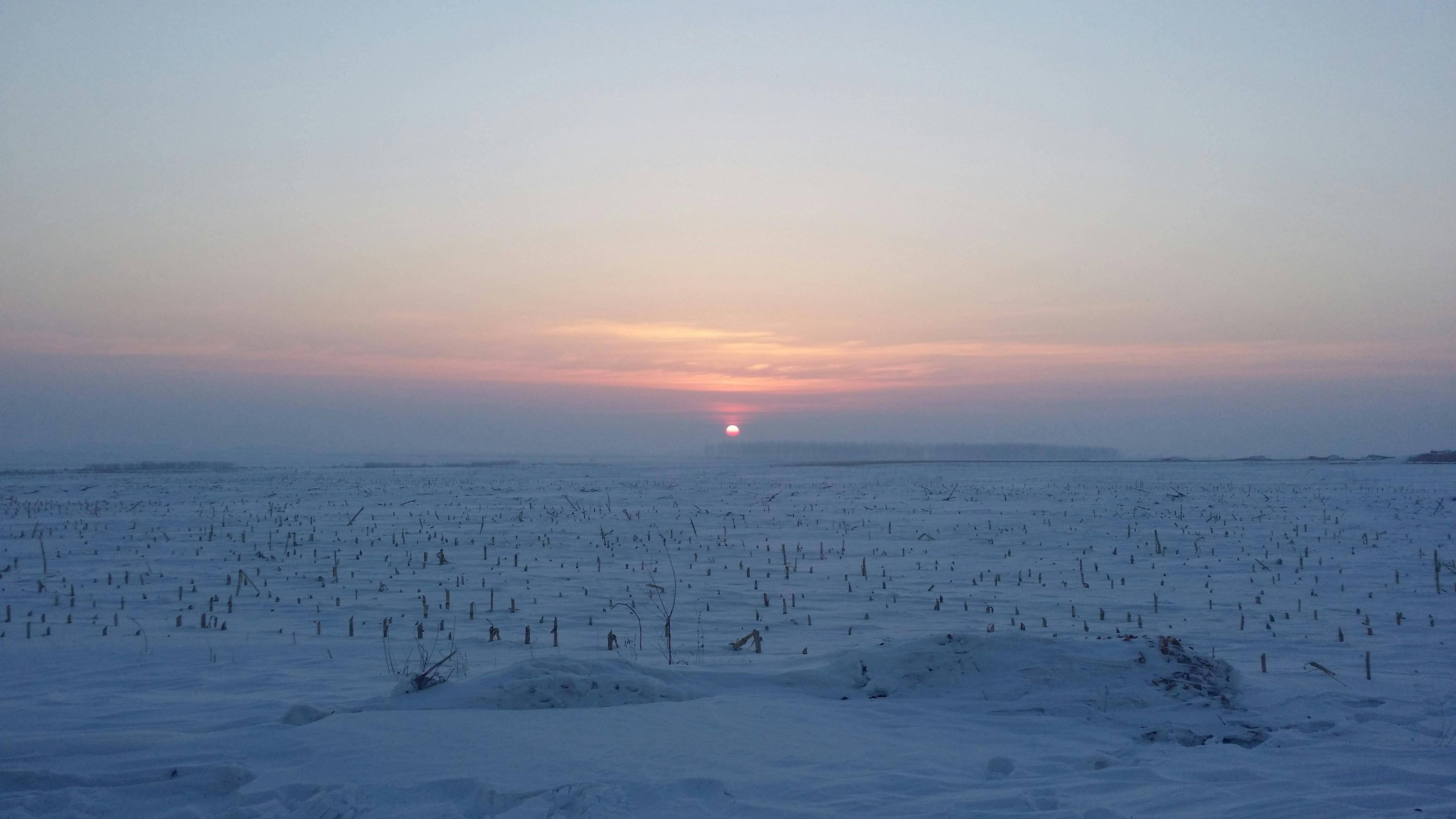 무료 고요한 겨울 일몰이 눈 덮인 들판 위로 파스텔 색조를 드리웁니다. 스톡 사진