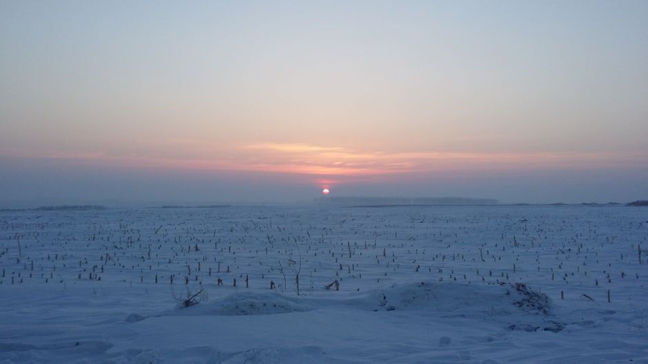 雪に覆われた野原にパステルカラーを投げかける穏やかな冬の夕焼け。