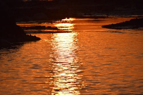 Free stock photo of calm, dusk, horizon Stock Photo