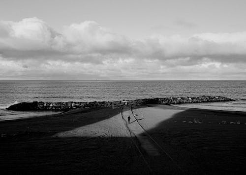 Graustufenfoto Des Strandufers