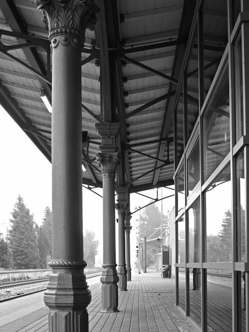 Grayscale Photo Of Glass Panel Windowpanes