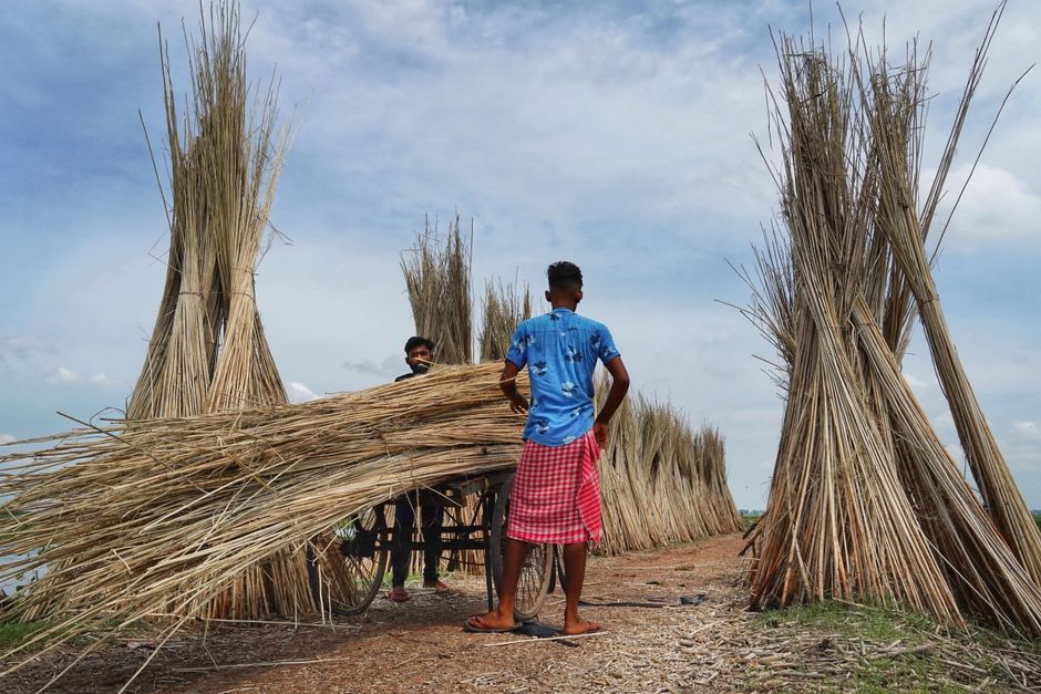 Hojas de jute secas verdes-grisáceas apiladas, típicas de las importaciones asiáticas