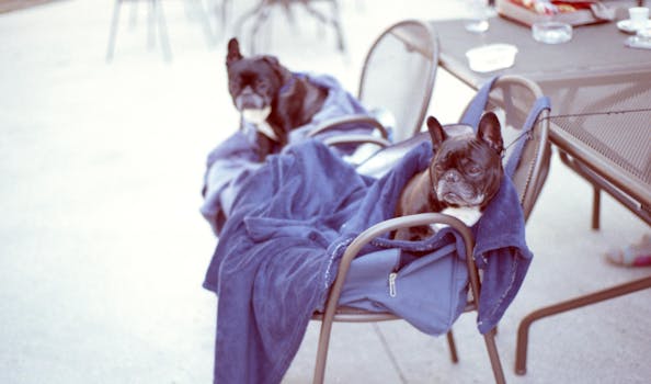 Plombières-lès-Dijon