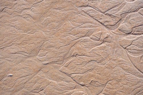 Foto profissional grátis de areia, conhecimento, estrutura