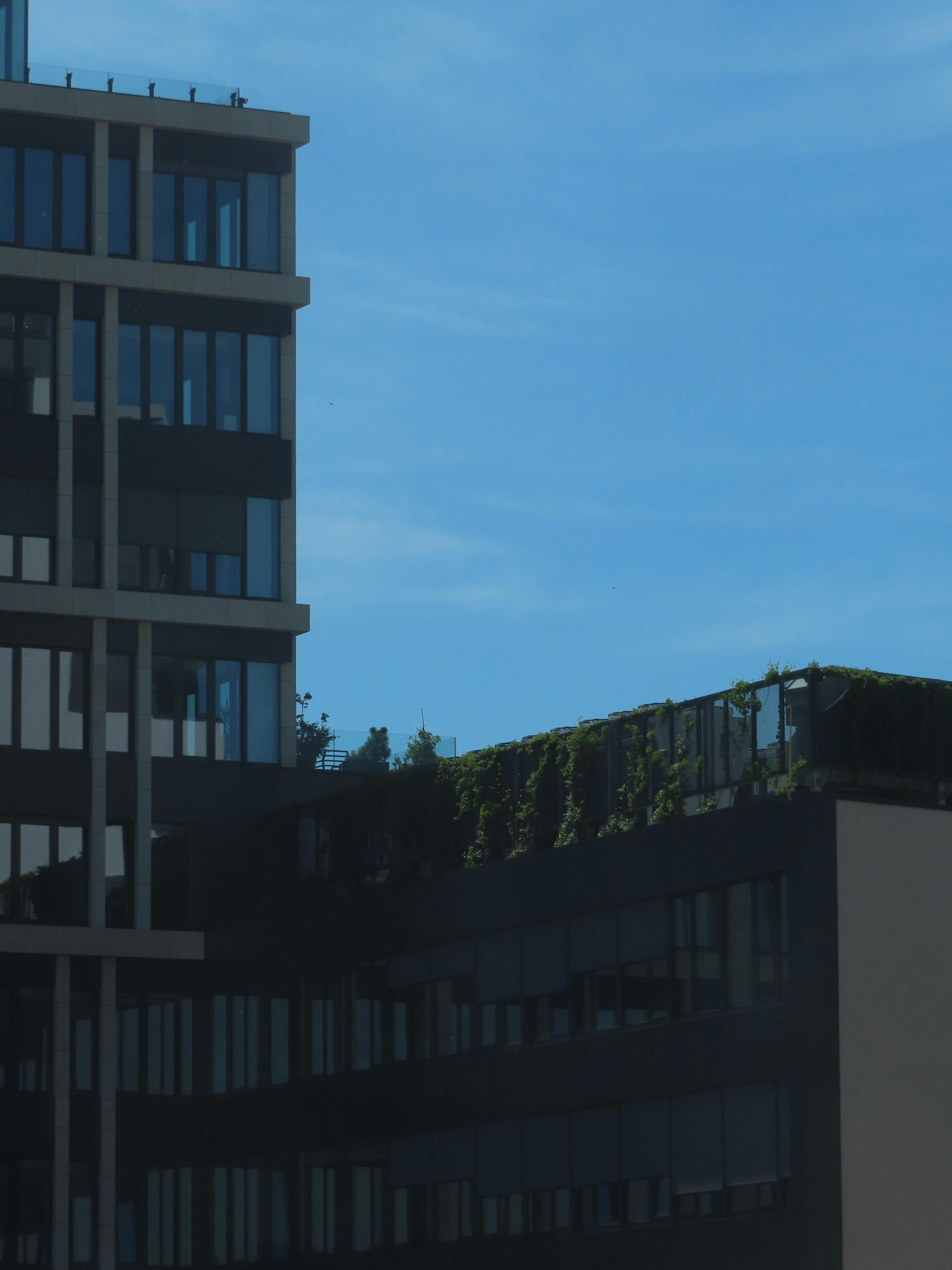 grátis Foto profissional grátis de @exterior, alta densidade, ambientalmente amigável Foto profissional