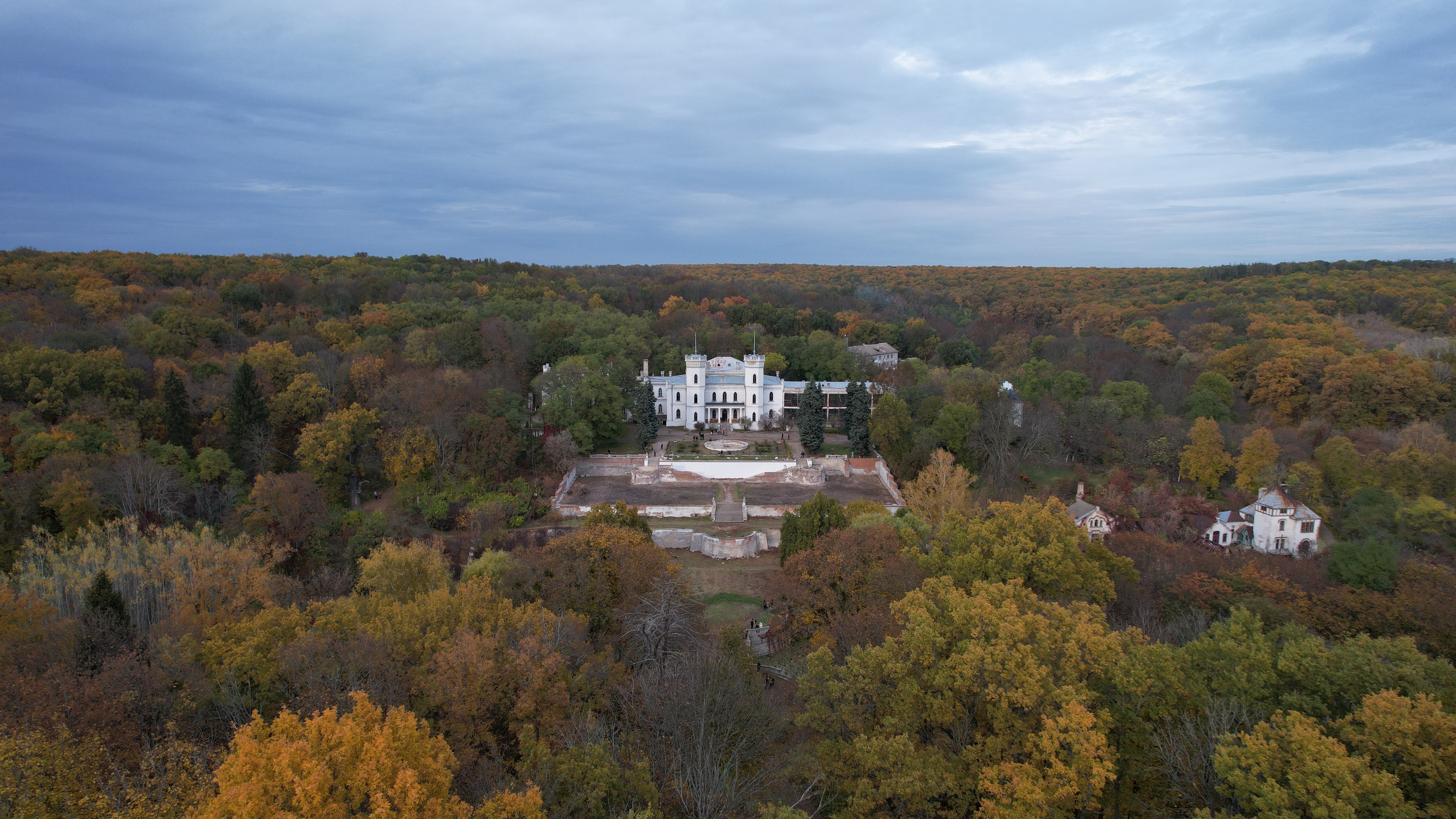 Aerial View of a Castle Surrounded by Trees · Free Stock Photo