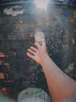 一只手穿过质朴的砖墙，伸向阳光