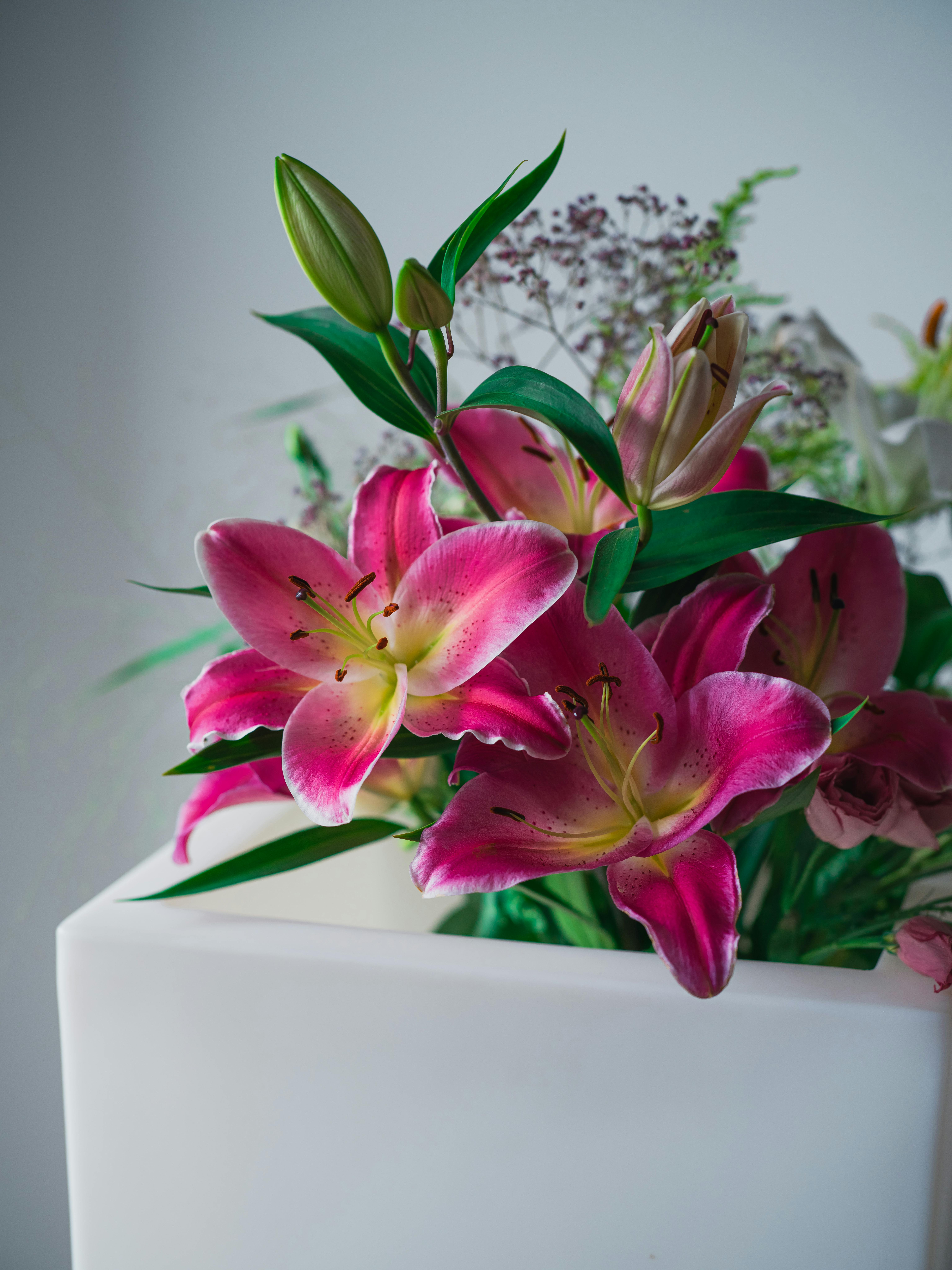 Beautiful pink lilies in a sleek white vase create a striking floral arrangement. Perfect for home decor ideas.