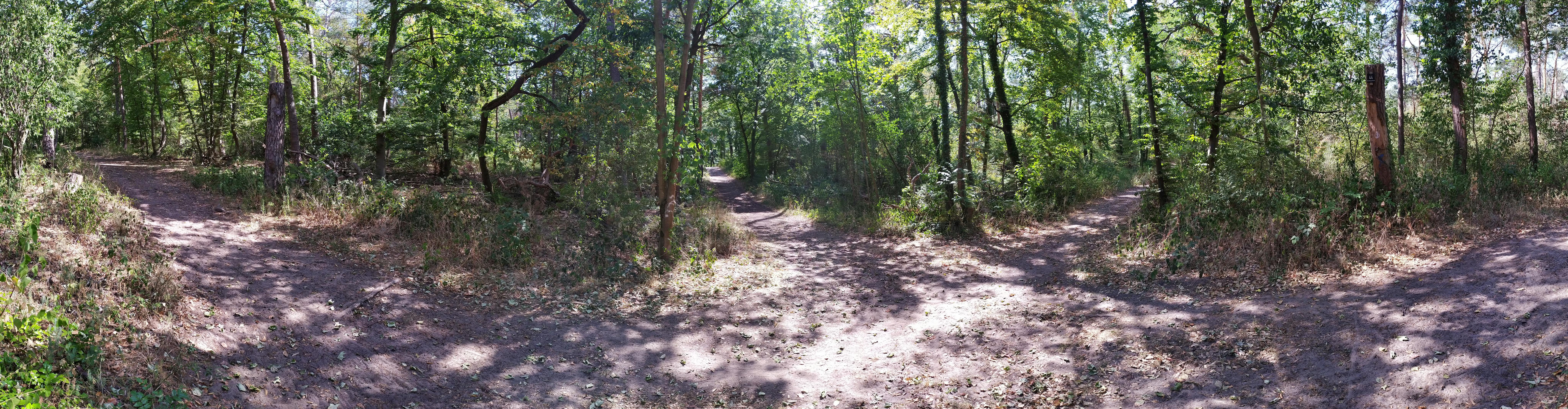 Discover Unexplored Hiking Trails in Your Area