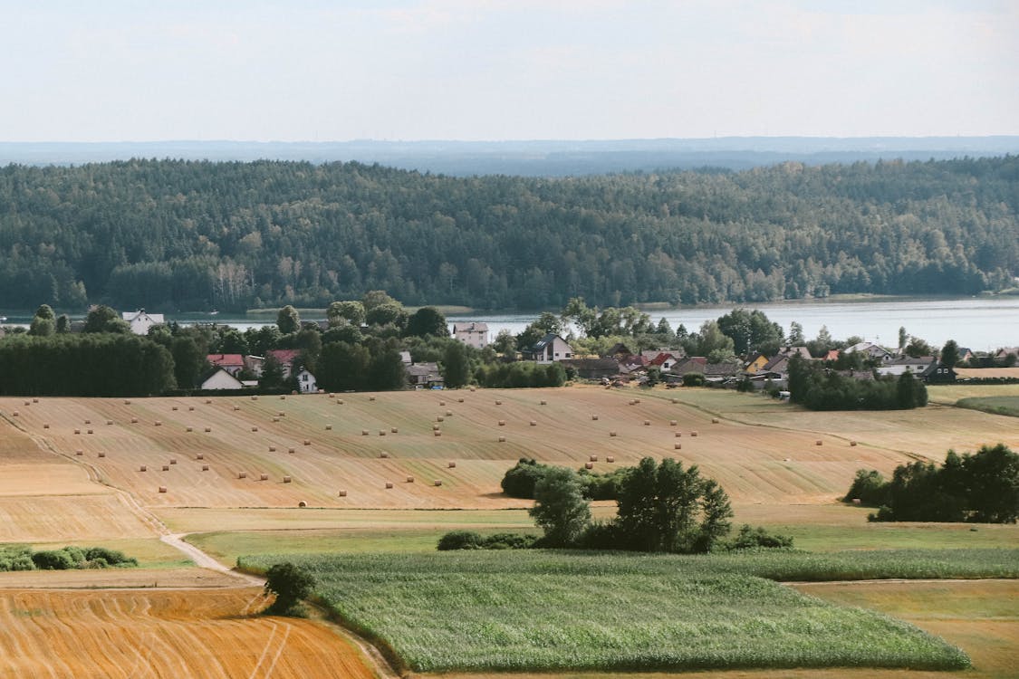 Základová fotografie zdarma na téma léto, naturelovers, polní cesta