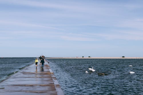 人, 步行, 海 的 免費圖庫相片