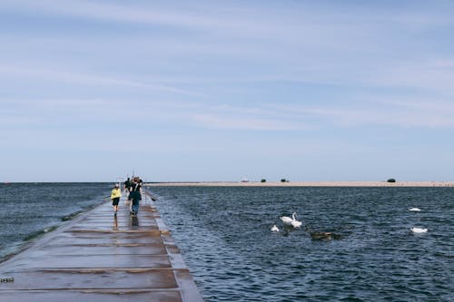 Imagine de stoc gratuită din doc de beton, mare, mers pe jos