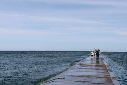 Gratis lagerfoto af anløbsbro, blå himmel, folk