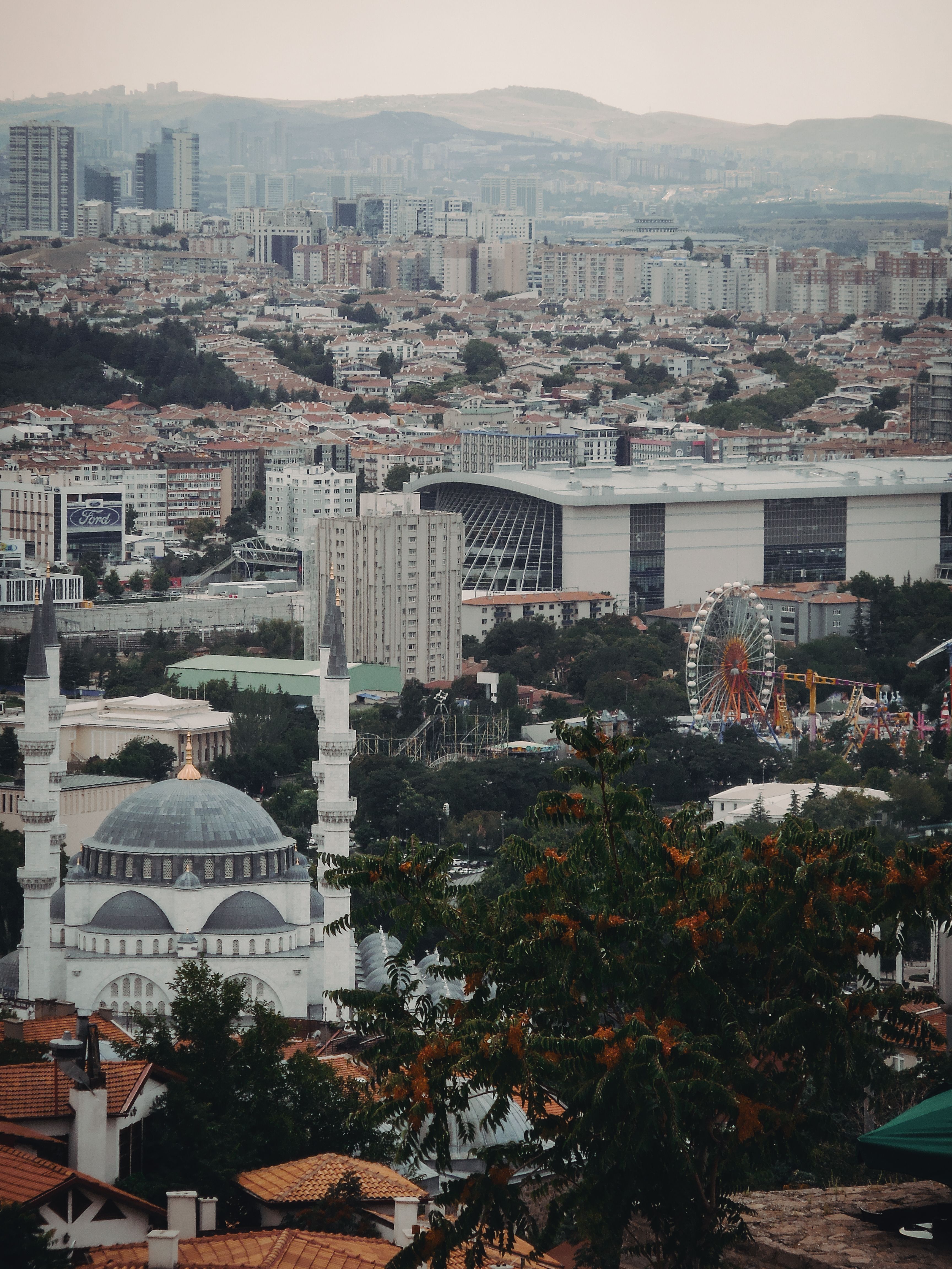 Green Trees and Concrete Buildings in a City · Free Stock Photo