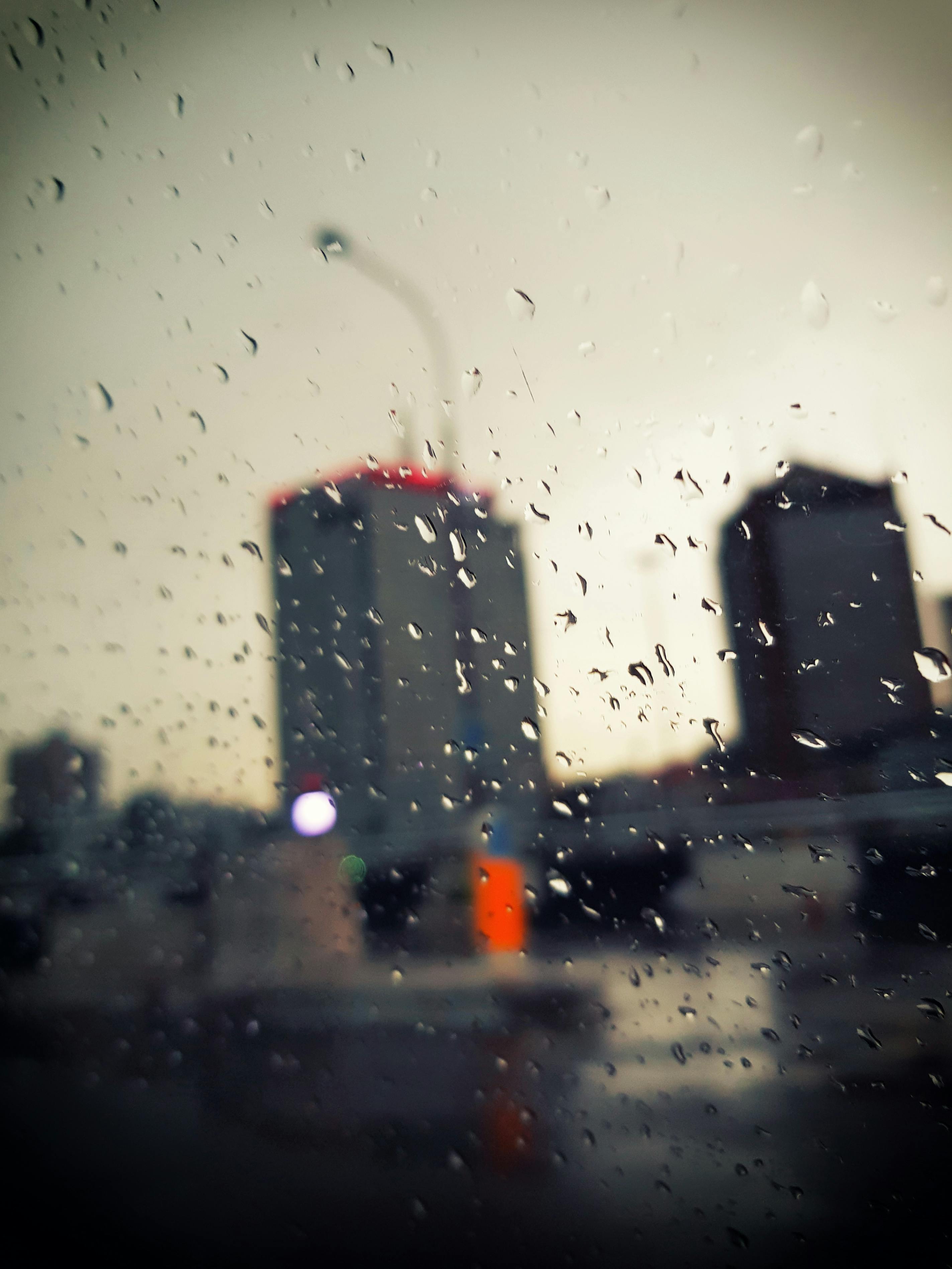 Free stock photo of after the rain, blur, blurr