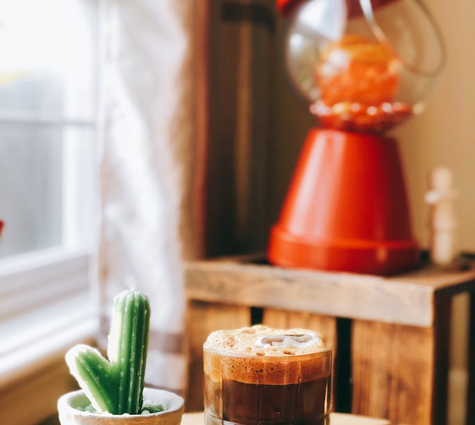 Cacti Photos, Download The BEST Free Cacti Stock Photos & HD Images