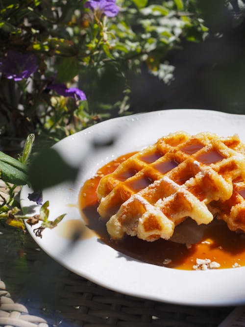 Free Waffle Cake on White Ceramic Plate Stock Photo