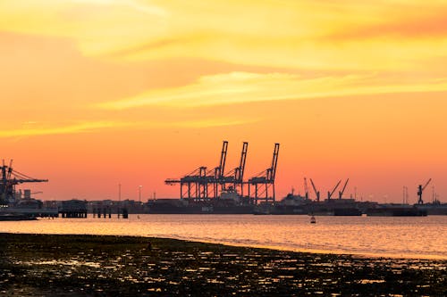Cranes on the Sea Port