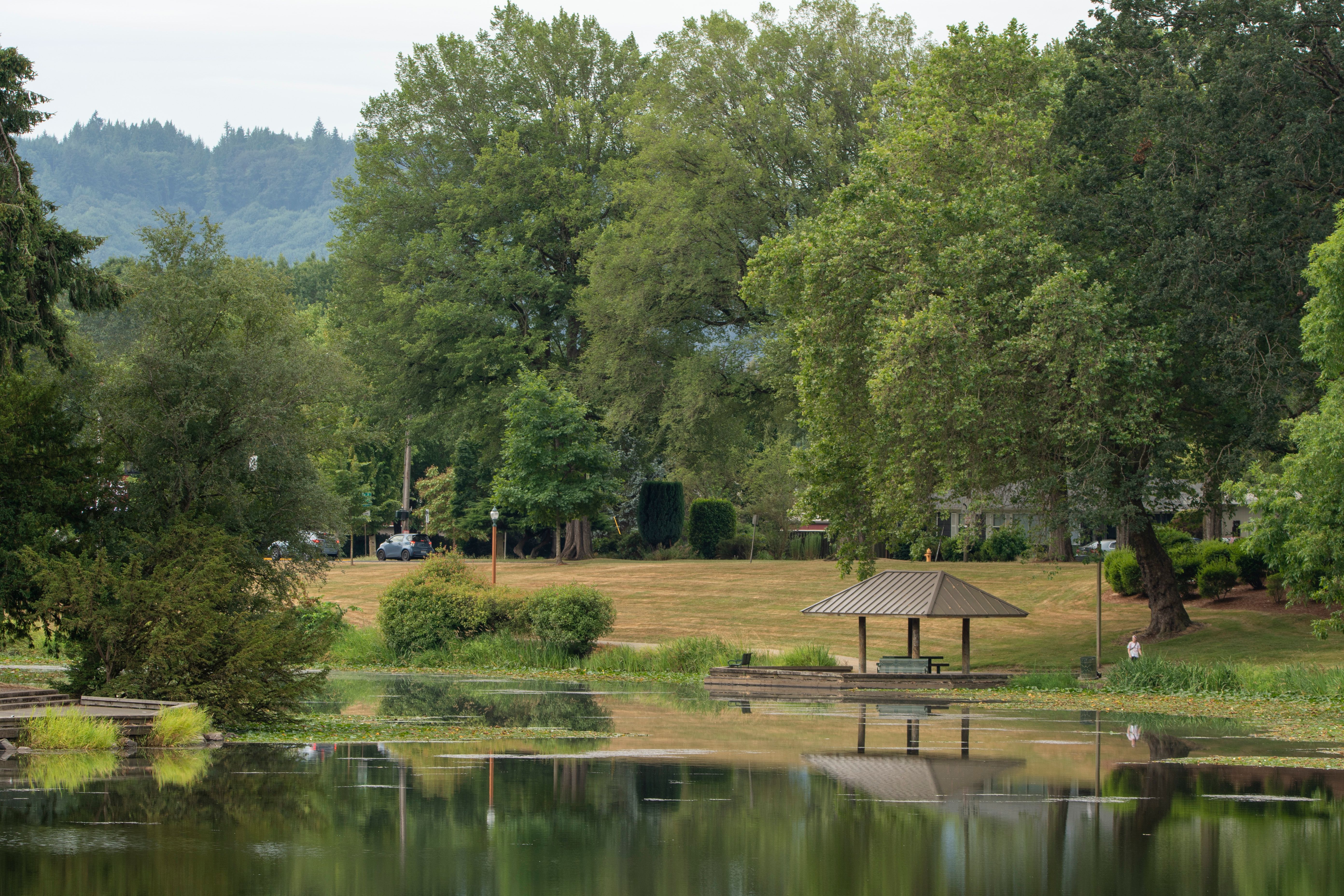 Peaceful summer scene at Lake Sacajawea Park with lush greenery and water reflections.
