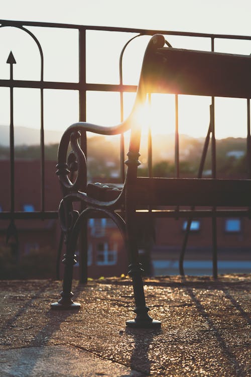 Shallow Focus Photography Of Iron Bench 