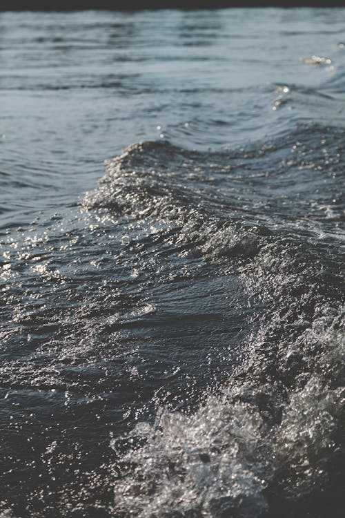 Ücretsiz Deniz Dalgaları Stok Fotoğraflar