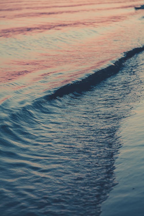 hd, 바다, 바탕화면의 무료 스톡 사진