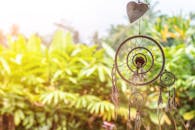 Dreamcatcher Near Plants