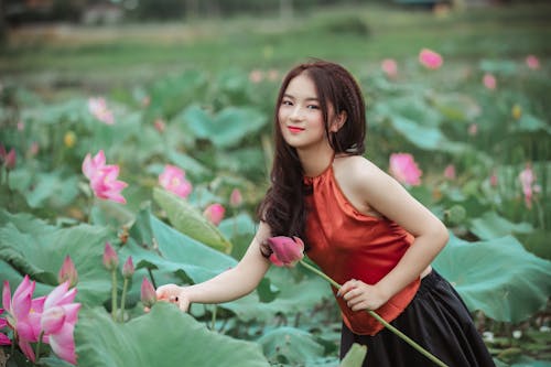 Kostnadsfri bild av asiatisk kvinna, asiatisk tjej, blommor