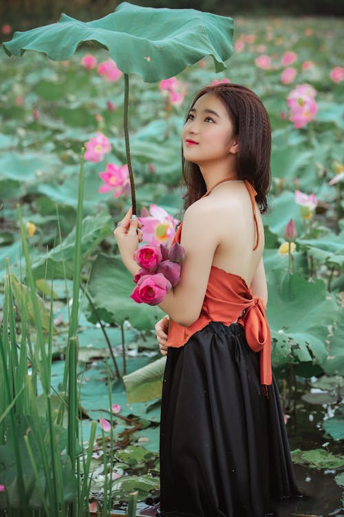 Free Gratis arkivbilde med asiatisk jente, asiatisk kvinne, blomst Stock Photo