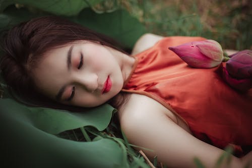 Free Woman Lying On Green Plant Stock Photo