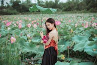 白天，一个女人在户外充满活力的莲花田中宁静地拍摄肖像