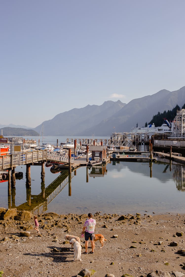 Wooden Bridge On City Beach