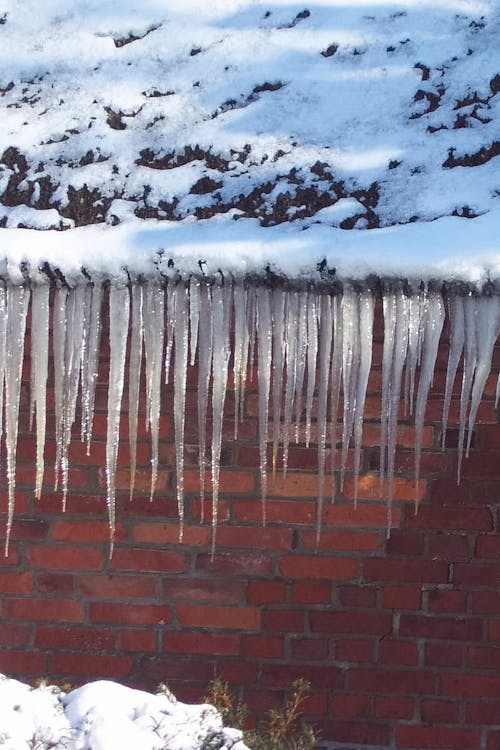 Free stock photo of icicles, winter