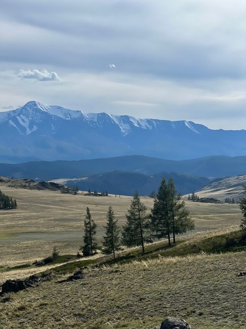 Free Expansive grass field with snow-capped mountains under a cloudy sky. Stock Photo