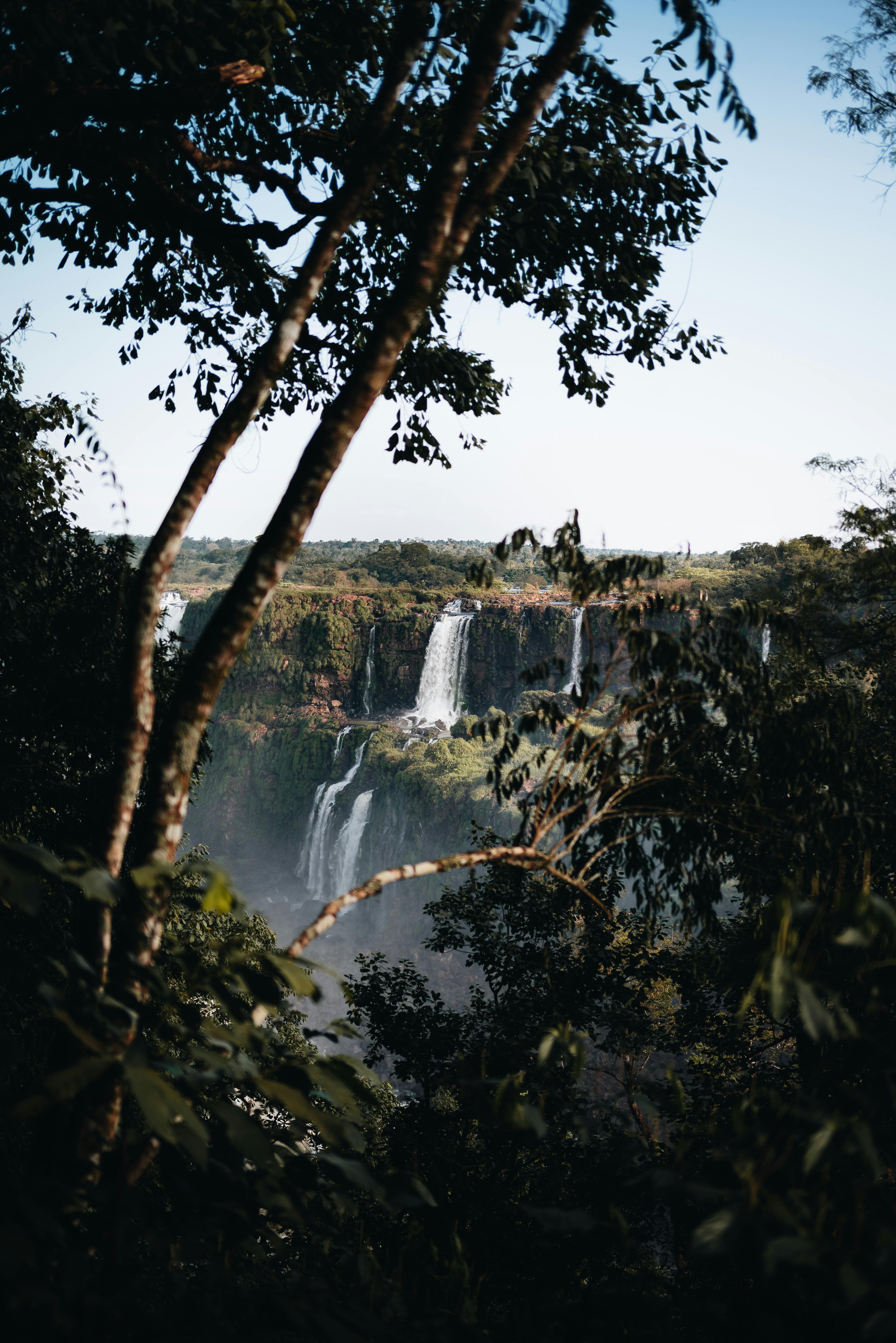 waterfall behind trees