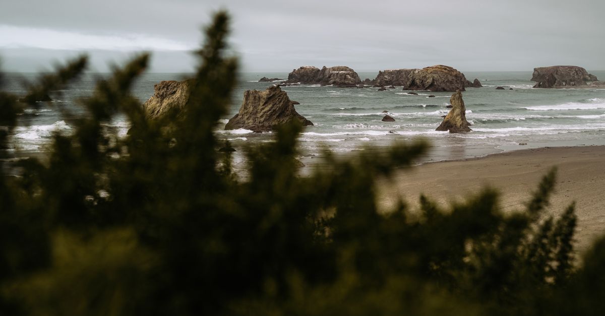 Experience the dramatic rock formations and serene ocean views at Bandon Beach, Oregon.