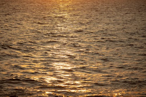 Foto profissional grátis de água do mar, alvorecer, cair da noite