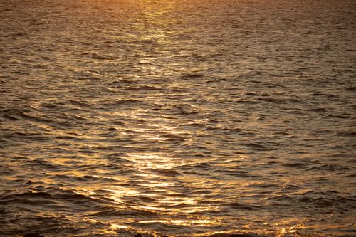 Free Sunset casts a golden glow over the ocean's rippling waves, creating a serene seascape. Stock Photo